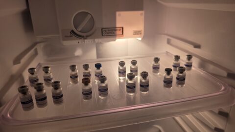 Как правильно развести инъекционный пептид