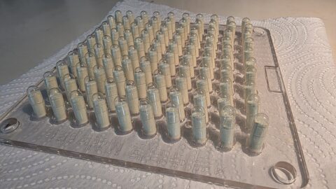 Капсулирование в домашних условиях